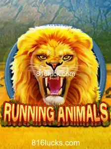 RunningAnimals: Um Mergulho no Mundo Selvagem dos Jogos Online